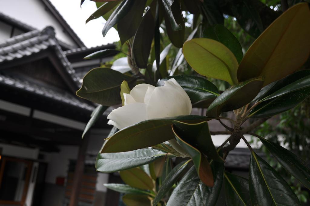 Hitoyoshi Ryokan Extérieur photo