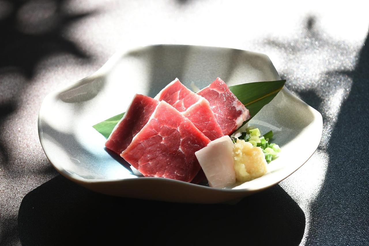 Hitoyoshi Ryokan Extérieur photo